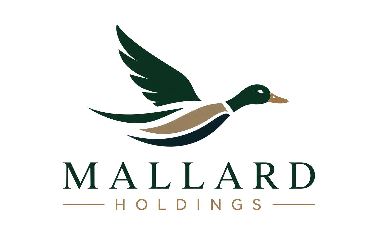 Mallard Holdings